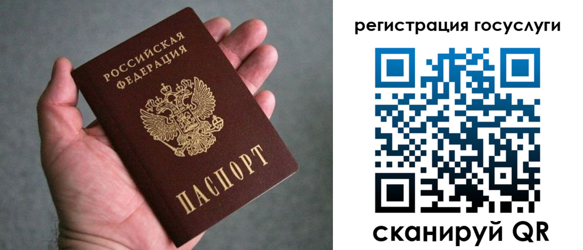 прописка поиск в Московской области